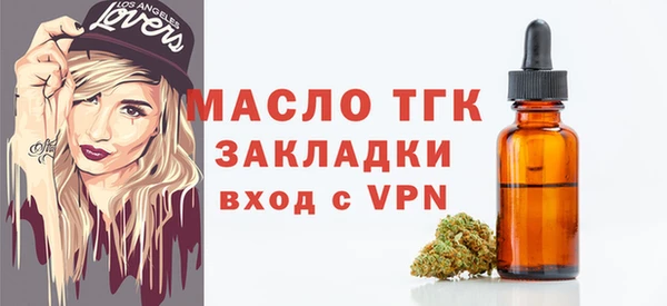 СК Алексин