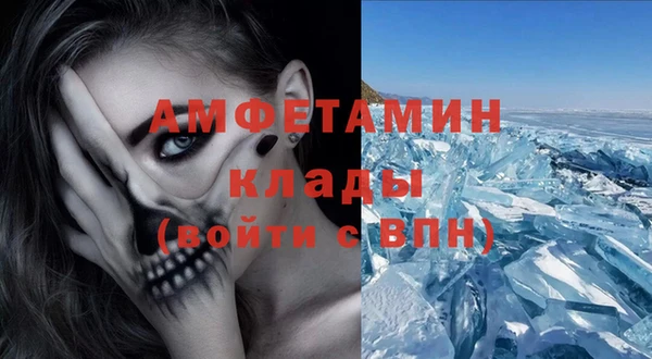СК Алексин